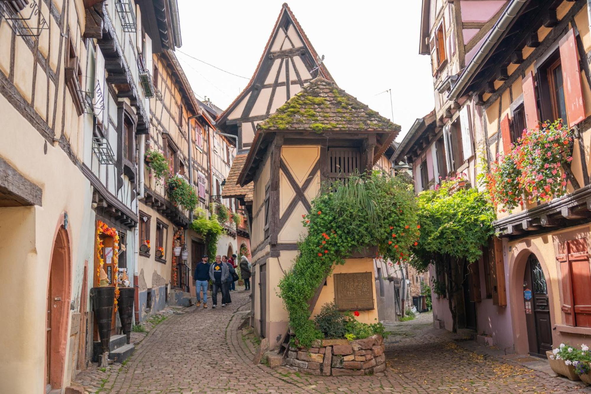 Chambre Rose Des Vents Eguisheim Εξωτερικό φωτογραφία