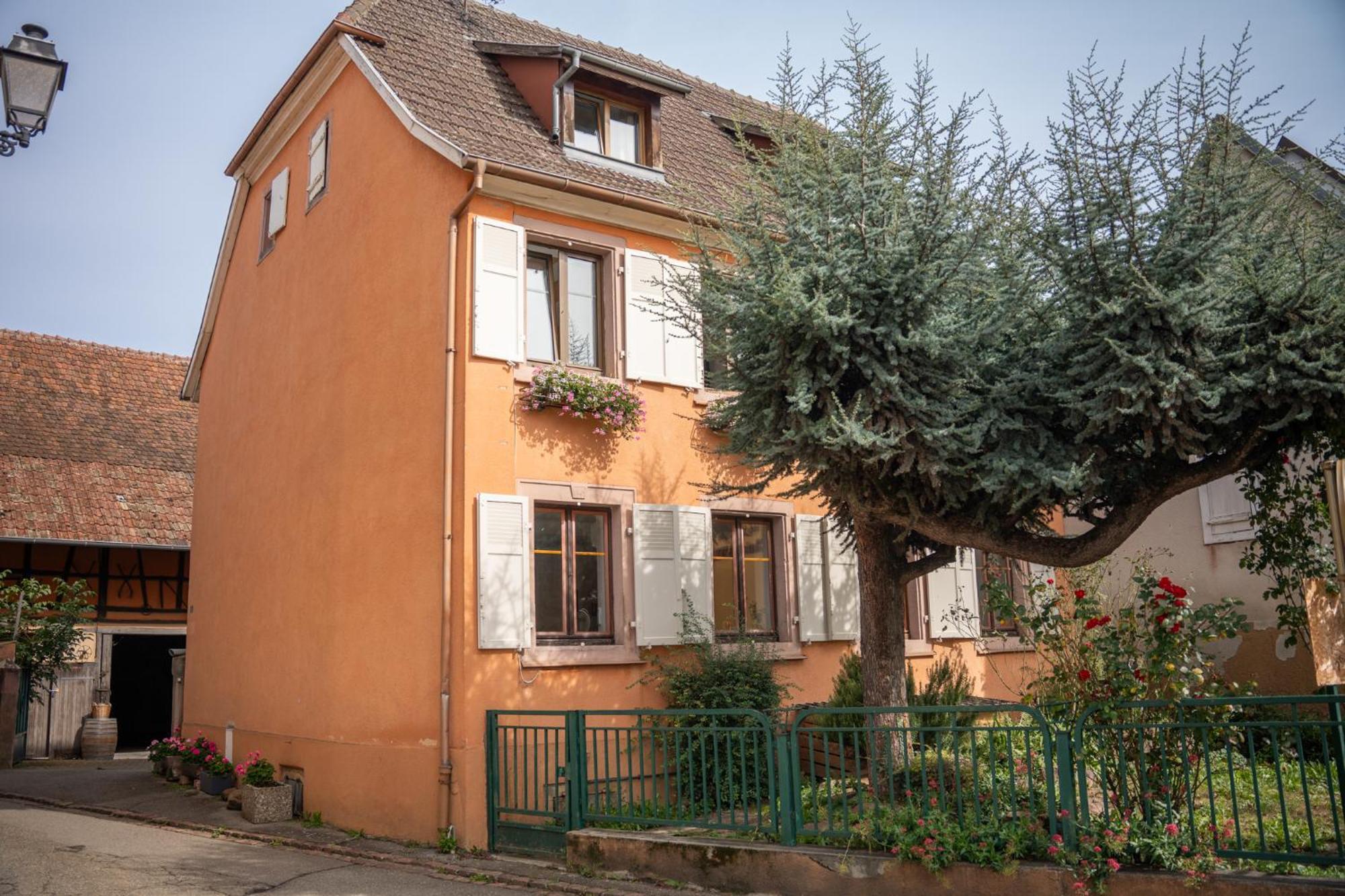 Chambre Rose Des Vents Eguisheim Εξωτερικό φωτογραφία